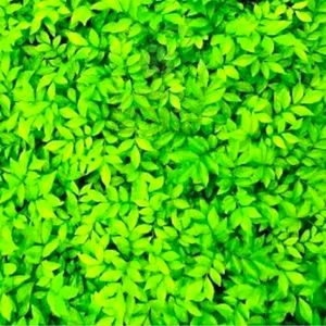 Meet your Posher, Aparna